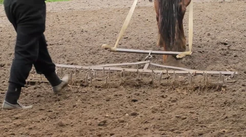 Farmers  Prepare For Spring Planting Using Horse Drawn Plow Stock Footage 5801936