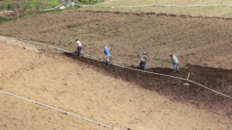 Farmers in Punta Cerro Panama Hoeing Field 1 Stock Footage 59572887