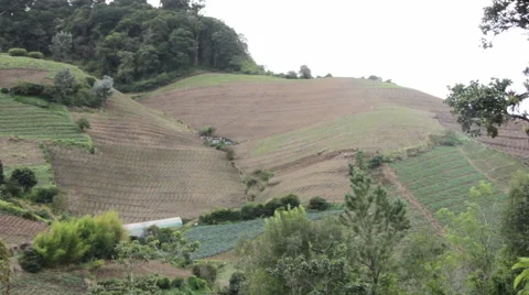 Farmers in Punta Cerro Panama Working in Hills  Stock-Footage 59574368