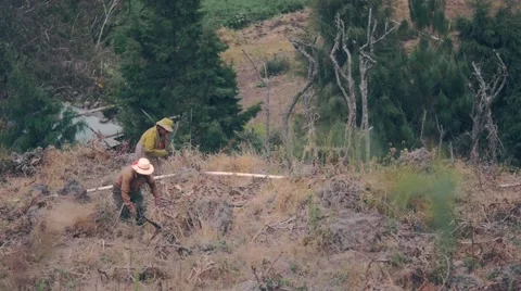 Farmers in seedtime Stock Footage 50191669