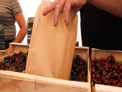 Farmers selling cherries at farmer market in France Stock Footage