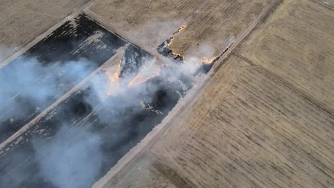 Farmers set fire to cob.arial view Stock Footage 152800941