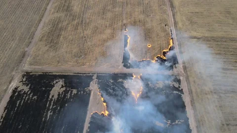 Farmers set fire to cob.arial view Stock Footage 152800997