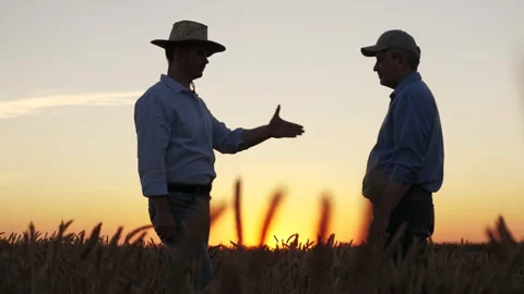 Farmers shaking hands in a wheat field at sunset, Partnership of two farmers in Stock Footage 299736804