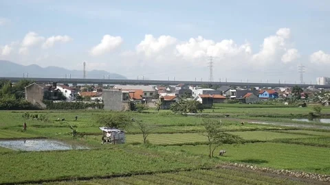 Farmers start working Stock Footage 223692341