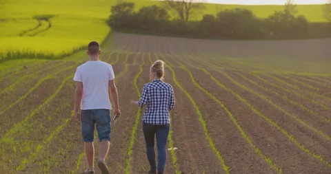 Farmers Talking While Walking On Agricultural Field Stock Footage 89681854