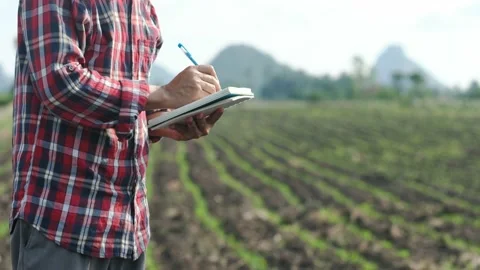 Farmers use notebook to record the growth of corn plants in the field Stock Footage 138443932