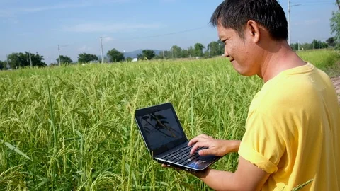 Farmers use notebooks computer in rice fields. Stock Footage 119910067