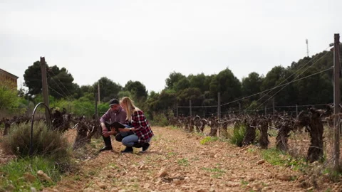 Farmers using tablet to analyze soil in field. Smart farming, agrotechnolog.. Stock Footage 332857983