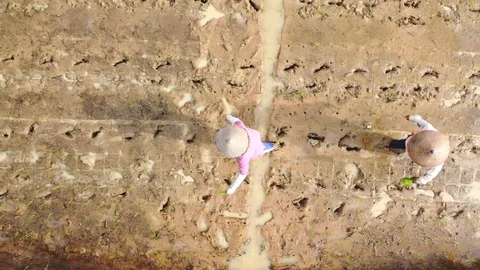 Farmers Walking  in the field Stock Footage 125422467