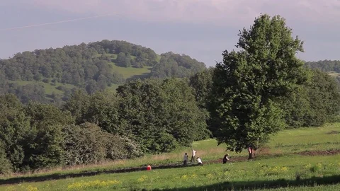 Farmers work in the field Vidéo 77590695