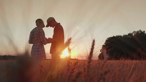 Farmers work in the field of wheat, communicate, look at the tablet. Beautiful Stock Footage 77343228