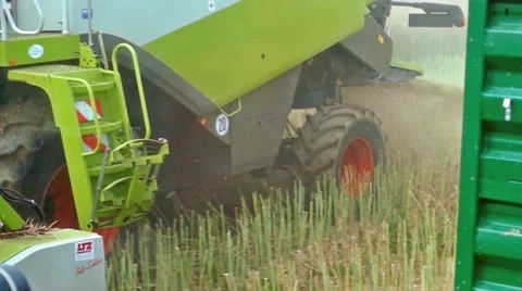 Farmers work Stock Footage 40284613