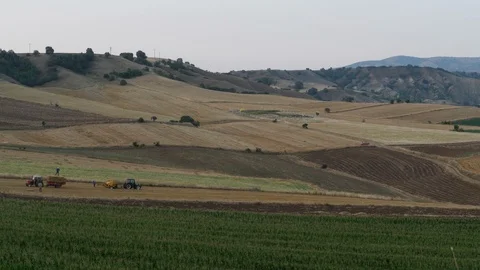 Farmers working in the fields 4K Stock-Footage 115905630