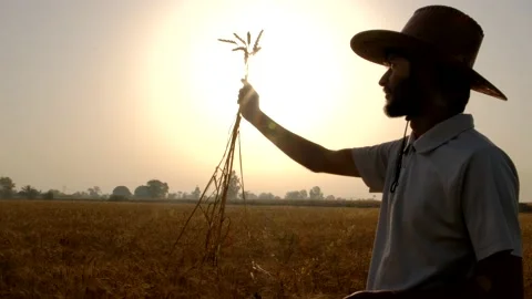 Farmers working in the fields Stock Footage 195413670