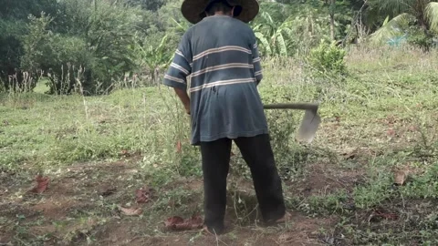 Farmers on working Stock Footage 254220257