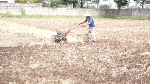 Farmers on working Stock Footage 254220258