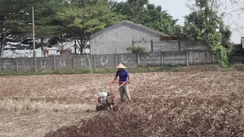 Farmers on working Stock Footage 254220316