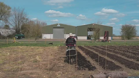 Farmers working together preparing soil for spring planting Stock Footage 340547518