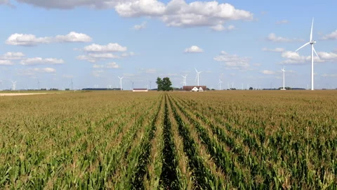Farmhouse, Corn Rows, Windmills 2 動画素材 289784073
