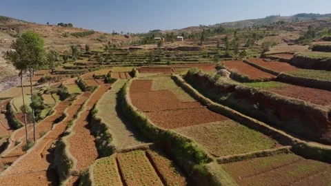 Farming activities thrive in hillside rice paddies of Madagascar, with a quaint 스톡 동영상 308402749