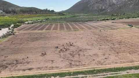 Farming Activities Western Cape Klein Karoo South Africa Stock Footage 342568134