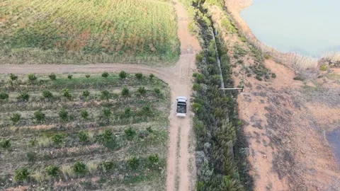 Farming Activities Western Cape Klein Karoo South Africa Stock Footage 342568629