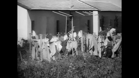 Farming and cattle and an irrigation system and a produce plant and a mining Stock-Footage 88873206
