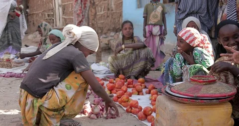 Farming and in Ethiopia, farmer, Hand picking tomatoes to marketplace. Stock Footage 87720975