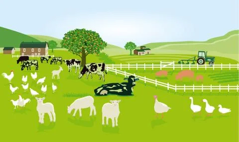 Farming with animals in the pasture Stock Illustration
