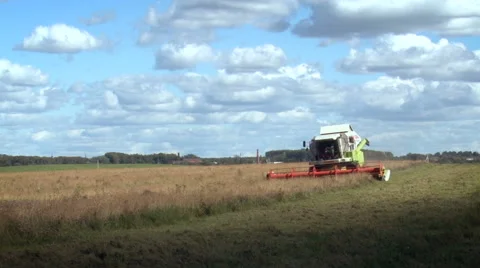 Farming Area. Haymaking. Working Combine on Field. Tractor Catching Grass Video stock 68612638