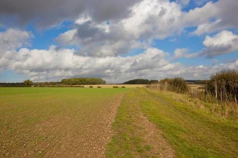 Farming in autumn Foto stock