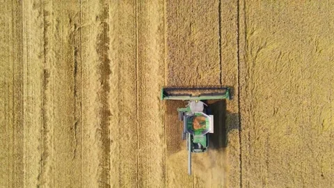 Farming Combine Harvest Overhead Tracking Stock Footage