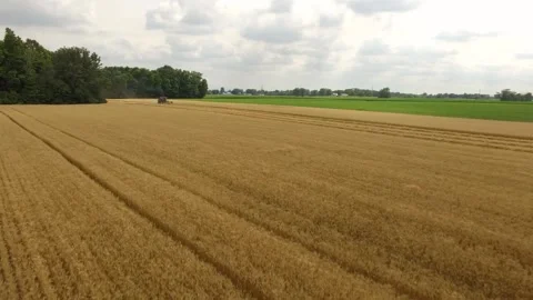 Farming Combine Passover in Wheat Field Stock Footage 329613037
