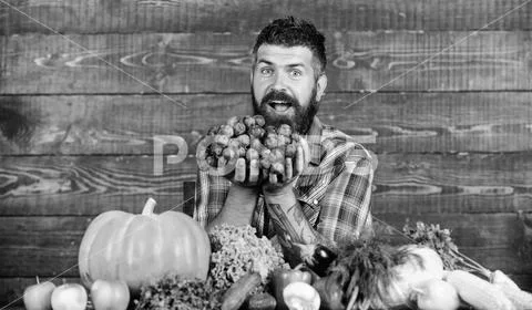 Farming concept. Farmer proud of grapes harvest. Man hold grapes wooden Stock Photos