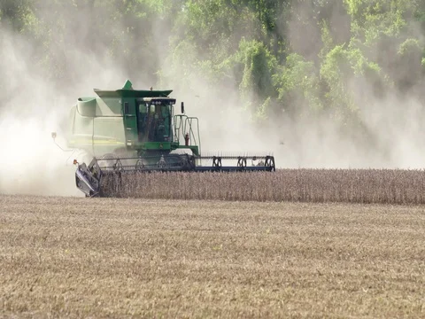 Farming crops during hot dry summer drought conditions Stock Footage 80925521