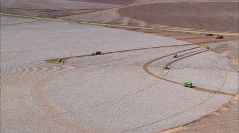 Farming Dallas Texas Stock Footage 38617419