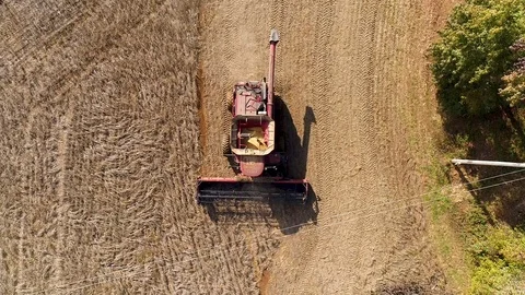 Farming, Drone shot. Soybeans Vídeo Stock 99672841