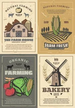 Farming farm barn, field, vegetables and animals イラスト素材