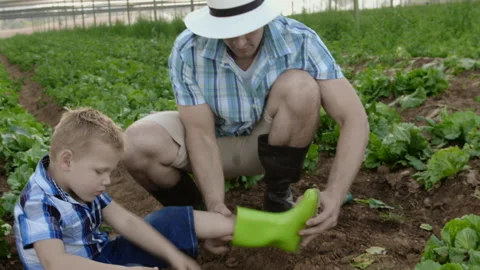 Farming father helping son to put on gumboots on their farm. Stock Footage 199631563