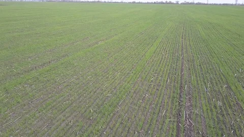 Farming field , aerial view Stockbeeldmateriaal 74210438