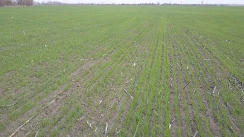 Farming field , aerial view 動画素材 74210501