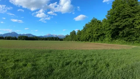 Farming field covered with grass besides green forest on bright sunny day Stock Footage 131297445