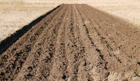 Farming Field. Stock Photos