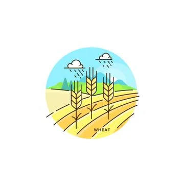 Farming field vector flat illustration in linear design. The wheat and farm Stock Illustration