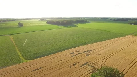 Farming Fields being Harvested in Ohio Stock Footage 329613040
