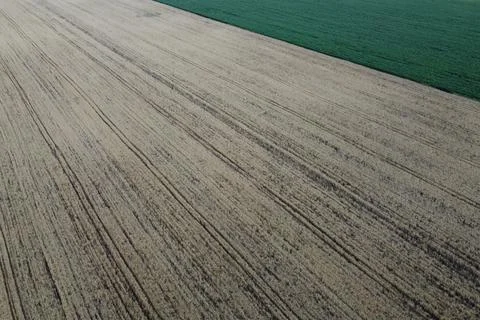 Farming fields from a bird's eye view. Agricultural landscape. Stock Photos