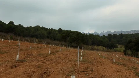 Farming fields establishing pan Stock-Footage 94158775