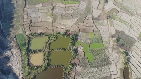 Farming fields. Stock Footage 170882896