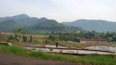 Farming in the fields Video stock 211994271